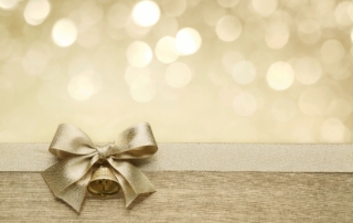 Newport News home decorated with LED holiday lights for energy savings.