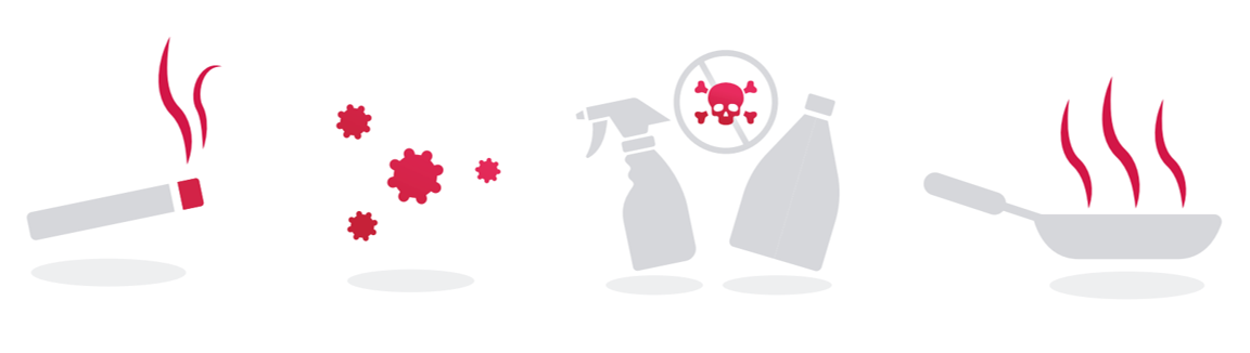 Indoor air pollutants and contaminants in the home